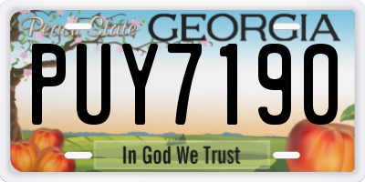 GA license plate PUY7190