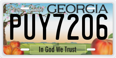 GA license plate PUY7206