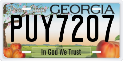 GA license plate PUY7207