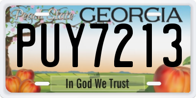 GA license plate PUY7213