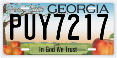 GA license plate PUY7217