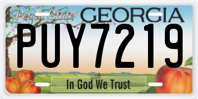 GA license plate PUY7219