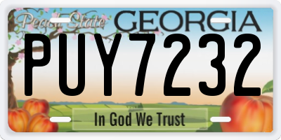 GA license plate PUY7232