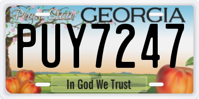 GA license plate PUY7247