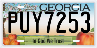 GA license plate PUY7253