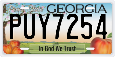 GA license plate PUY7254