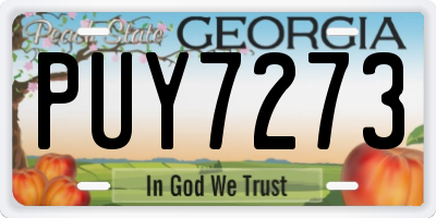GA license plate PUY7273