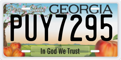 GA license plate PUY7295
