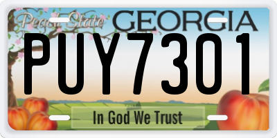 GA license plate PUY7301