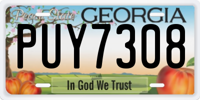 GA license plate PUY7308