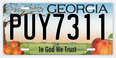 GA license plate PUY7311