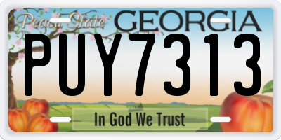 GA license plate PUY7313