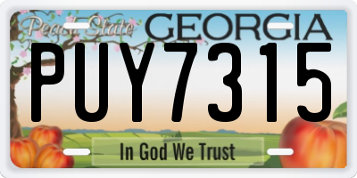 GA license plate PUY7315