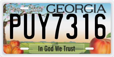 GA license plate PUY7316