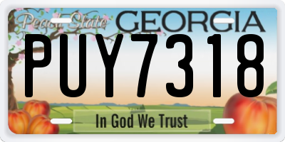 GA license plate PUY7318