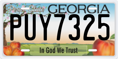 GA license plate PUY7325