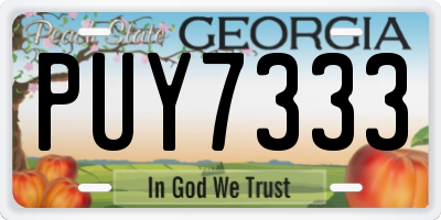 GA license plate PUY7333