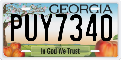 GA license plate PUY7340