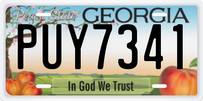 GA license plate PUY7341
