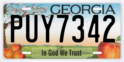 GA license plate PUY7342