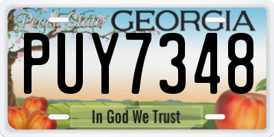 GA license plate PUY7348