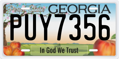 GA license plate PUY7356