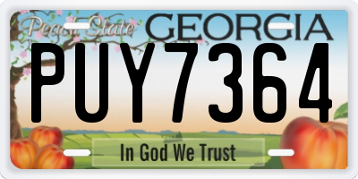 GA license plate PUY7364