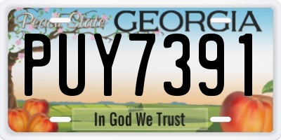 GA license plate PUY7391