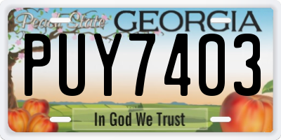 GA license plate PUY7403