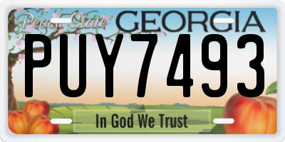 GA license plate PUY7493