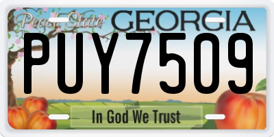 GA license plate PUY7509
