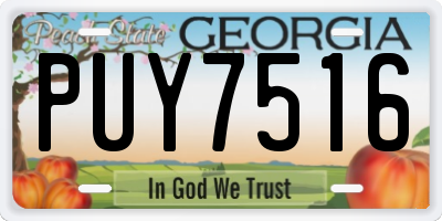 GA license plate PUY7516