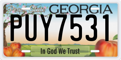 GA license plate PUY7531