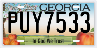 GA license plate PUY7533