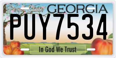 GA license plate PUY7534