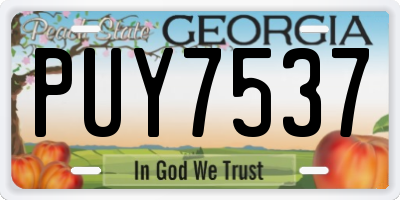 GA license plate PUY7537