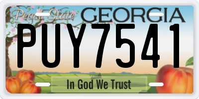 GA license plate PUY7541