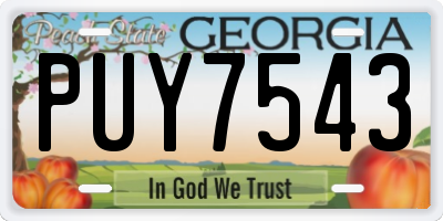 GA license plate PUY7543