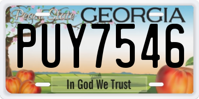 GA license plate PUY7546