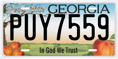 GA license plate PUY7559