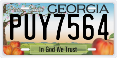GA license plate PUY7564