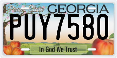 GA license plate PUY7580