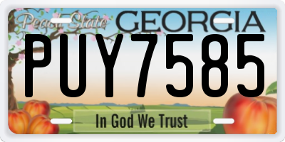 GA license plate PUY7585