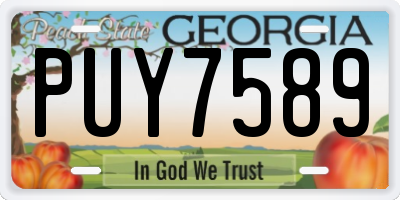 GA license plate PUY7589
