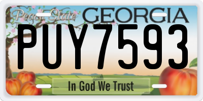 GA license plate PUY7593