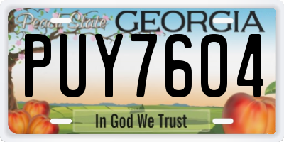 GA license plate PUY7604