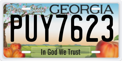 GA license plate PUY7623