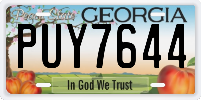GA license plate PUY7644