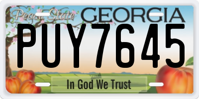 GA license plate PUY7645