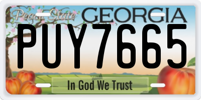 GA license plate PUY7665
